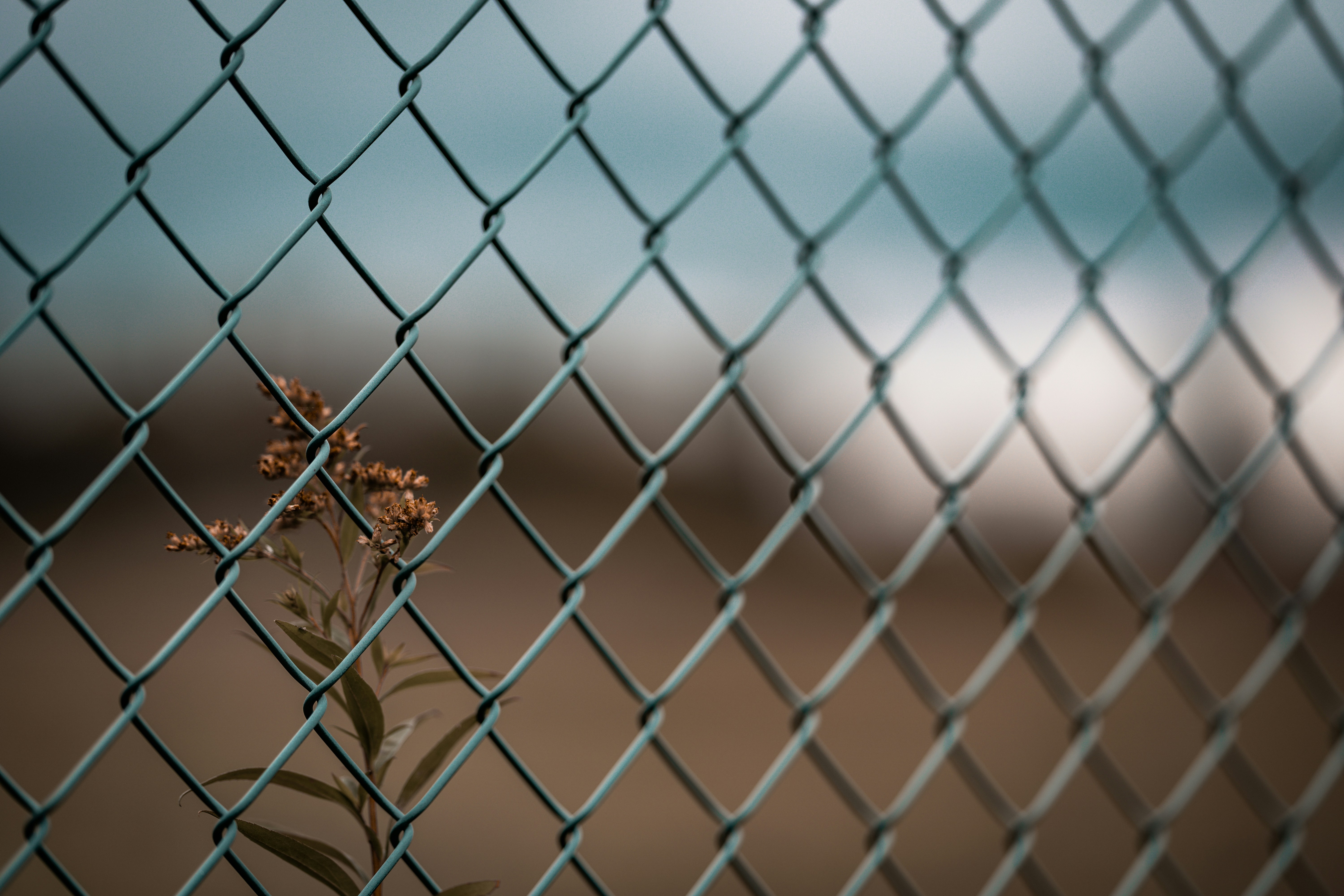 omar-ram-UCcLy-55Ji0-unsplash chain link fencing