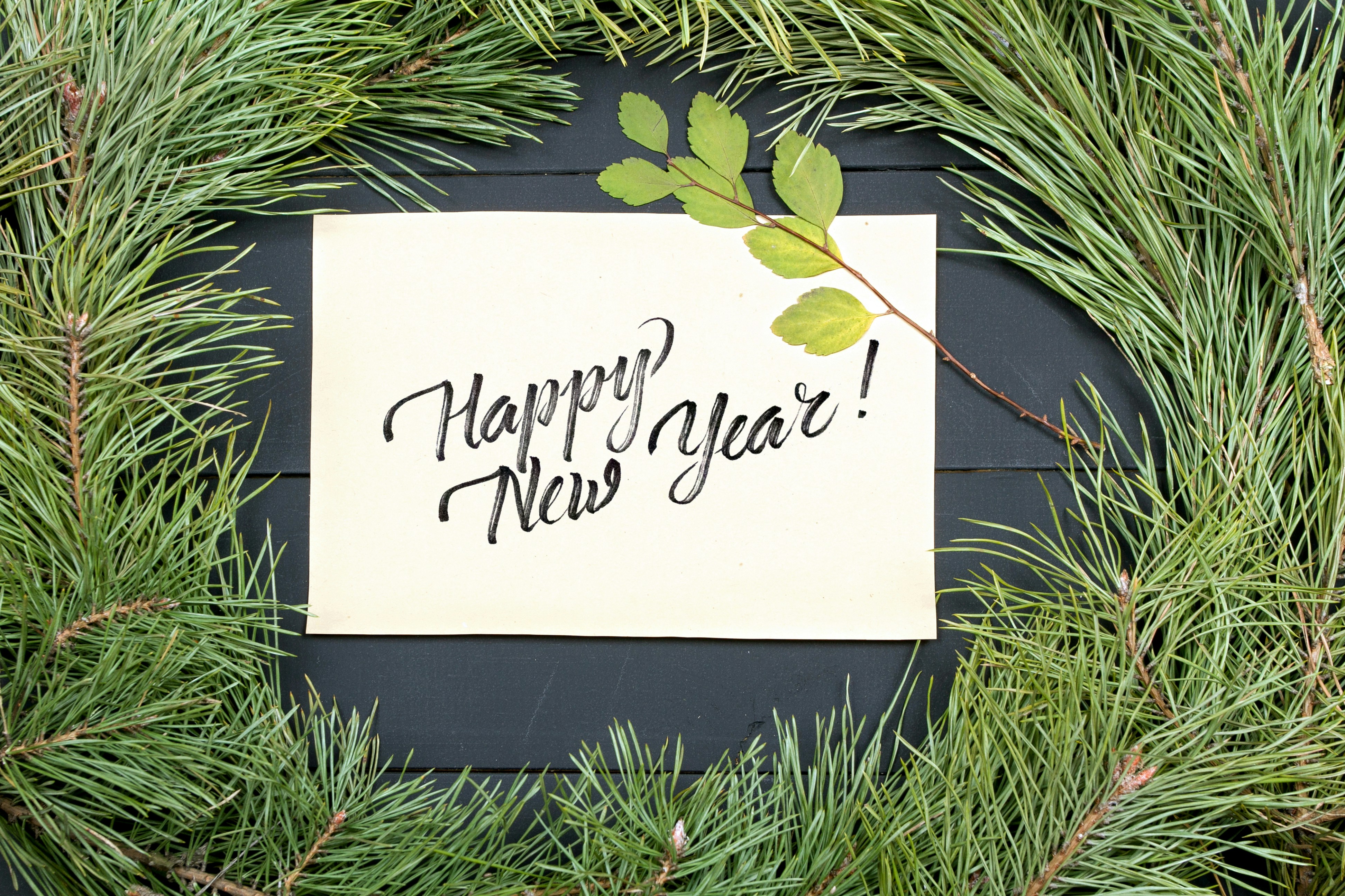 happy new year from PrivacyLink