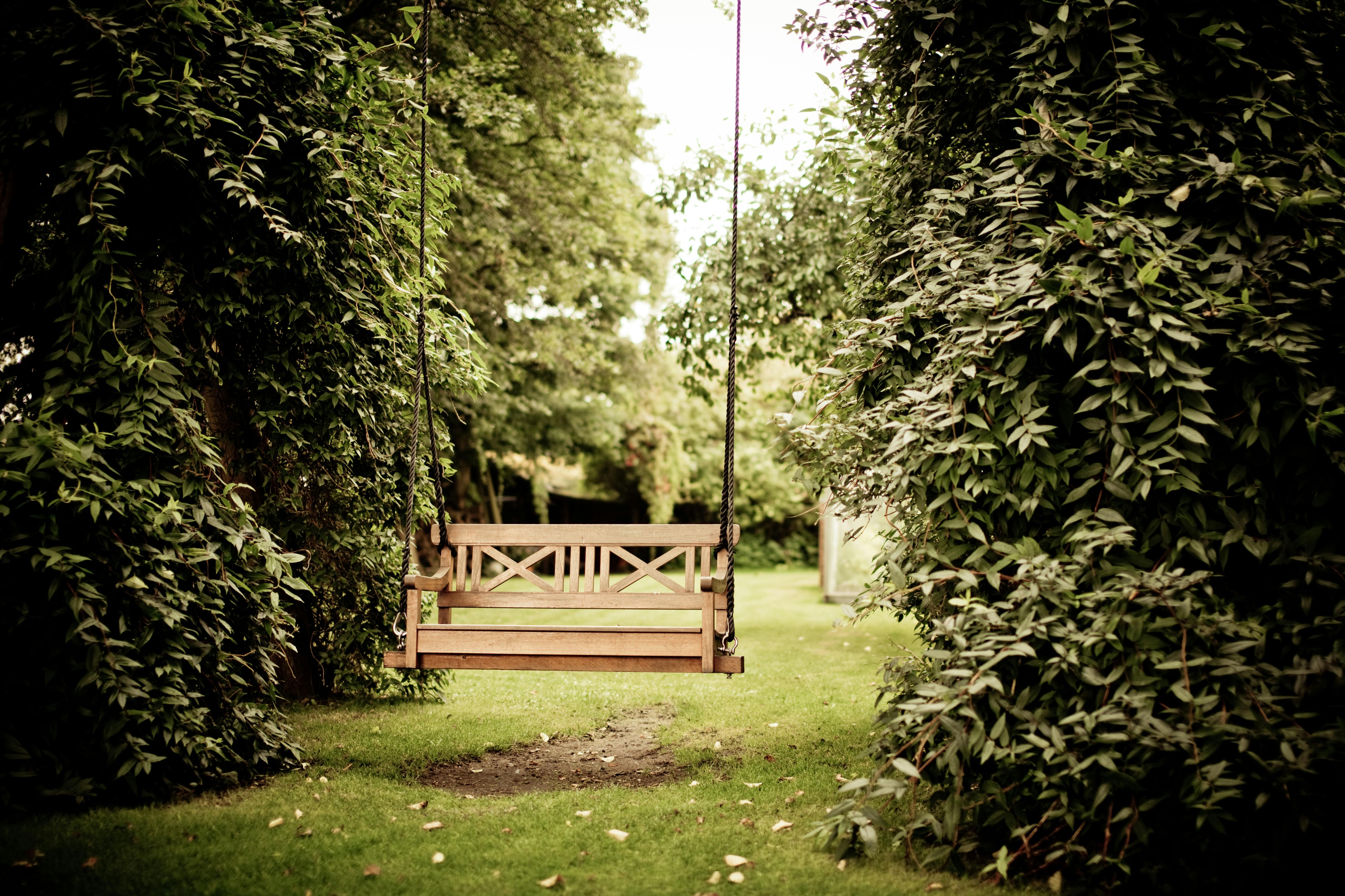 pexels-reneterp-334978 privacylink fencing solutions